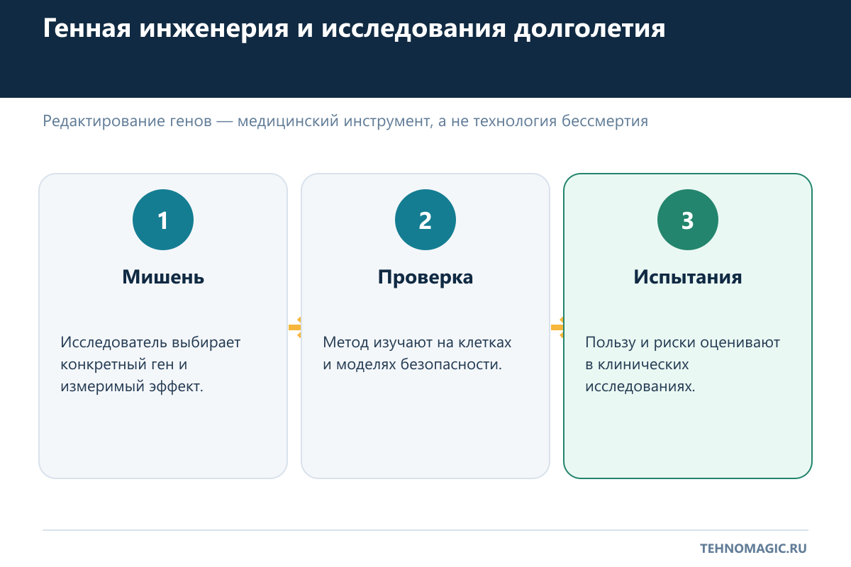 Этапы проверки метода генной инженерии от мишени до клинических испытаний